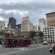 IMG 7981