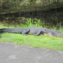 IMG 0204