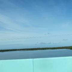 IMG 0003