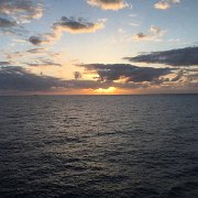 IMG 4716