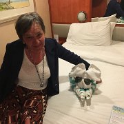 IMG 4739
