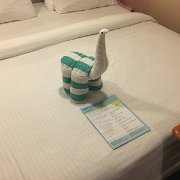 IMG 4895