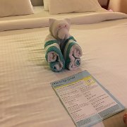IMG 4878