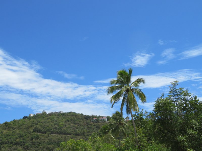 IMG 0635