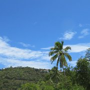 IMG 0635