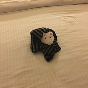 IMG 4857