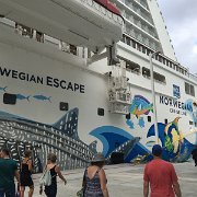 IMG 4898
