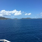 IMG 4905