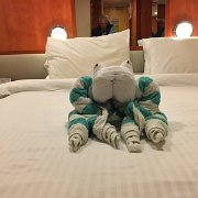 IMG 4908