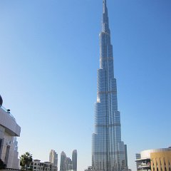 IMG 3618