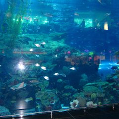 IMG 3628
