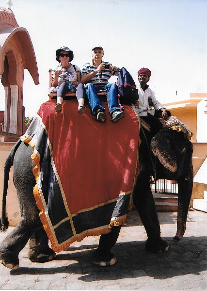 IMGelefante