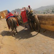 IMG 3162