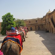 IMG 3166