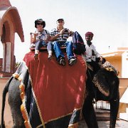 IMGelefante