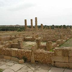 DSCN0574