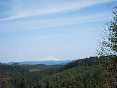 IMG_3276
