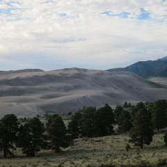 IMG 0533