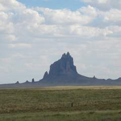 IMG 0662
