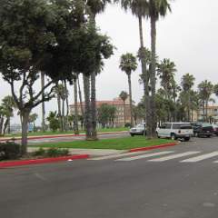 IMG 1555