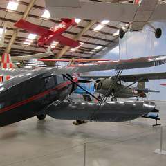 IMG 0110