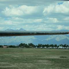 IMG 0207