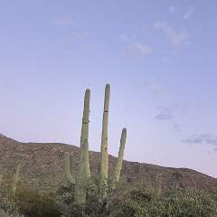 IMG 0316