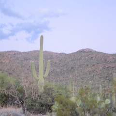 IMG 0317